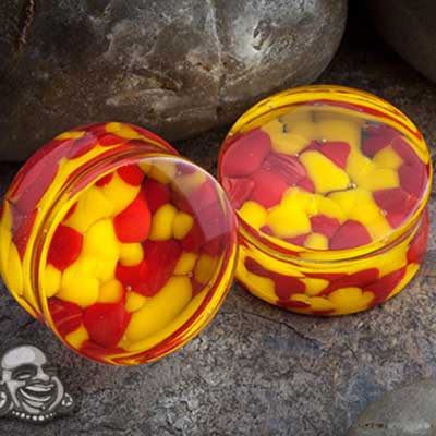 Pair of Arang Wood Orchid Plugs