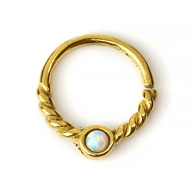 Septum Seamless Rings